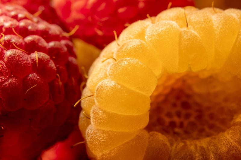 Raspberry Dessert